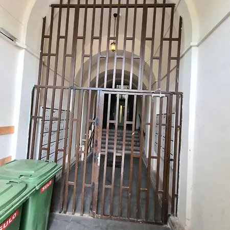 Calgary-2 بودابست